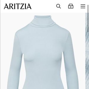 Sunday Best (Aritzia) “Freshman Turtleneck”